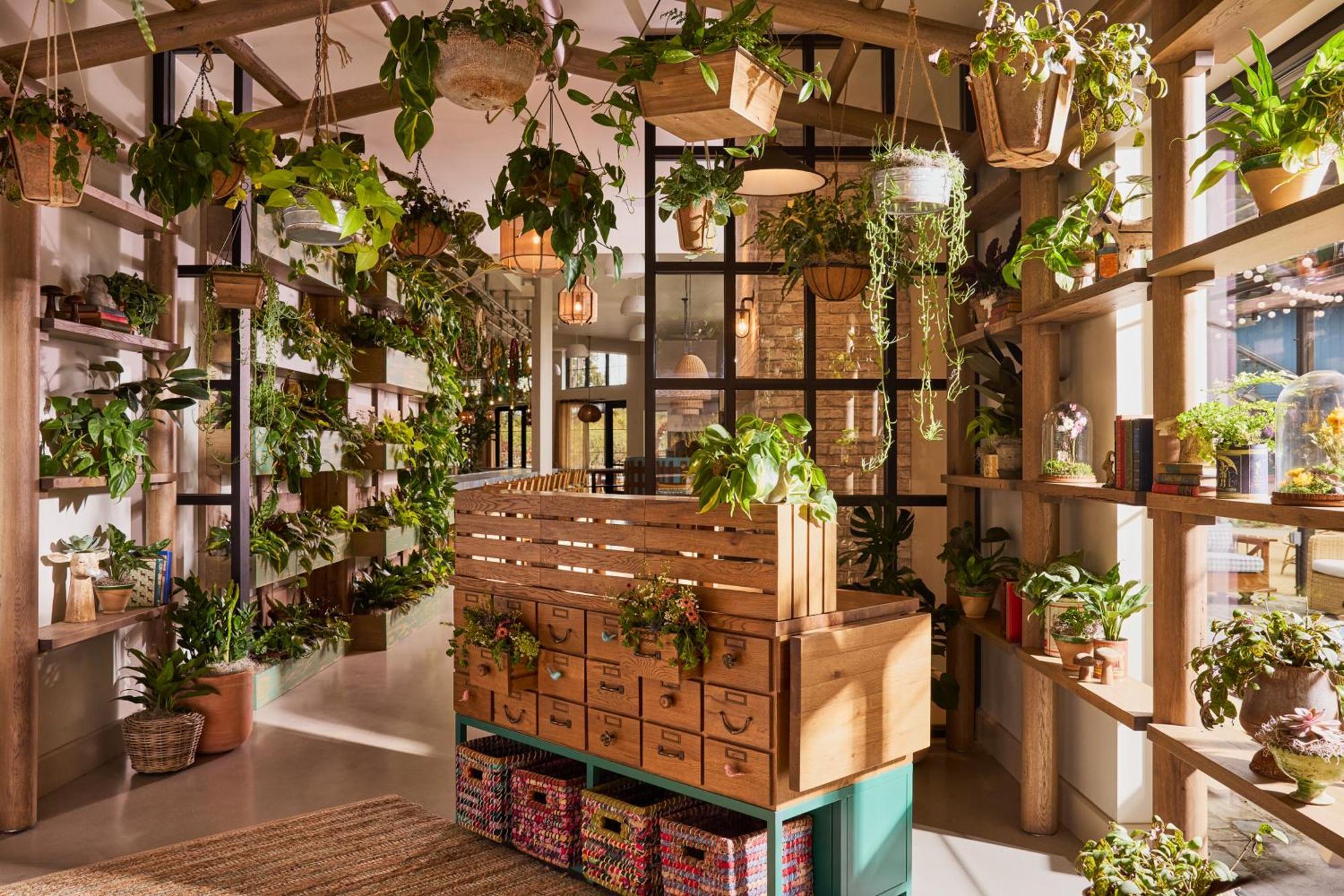 Treehouse Hotel Silicon Valley Sunnyvale Exteriör bild